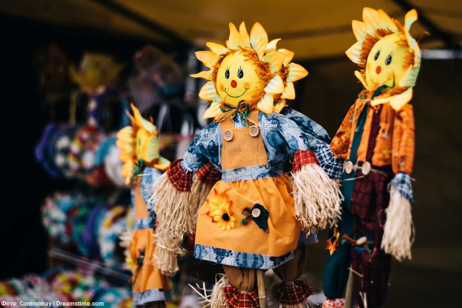 Масленица в Ежовом царстве, сырном государстве