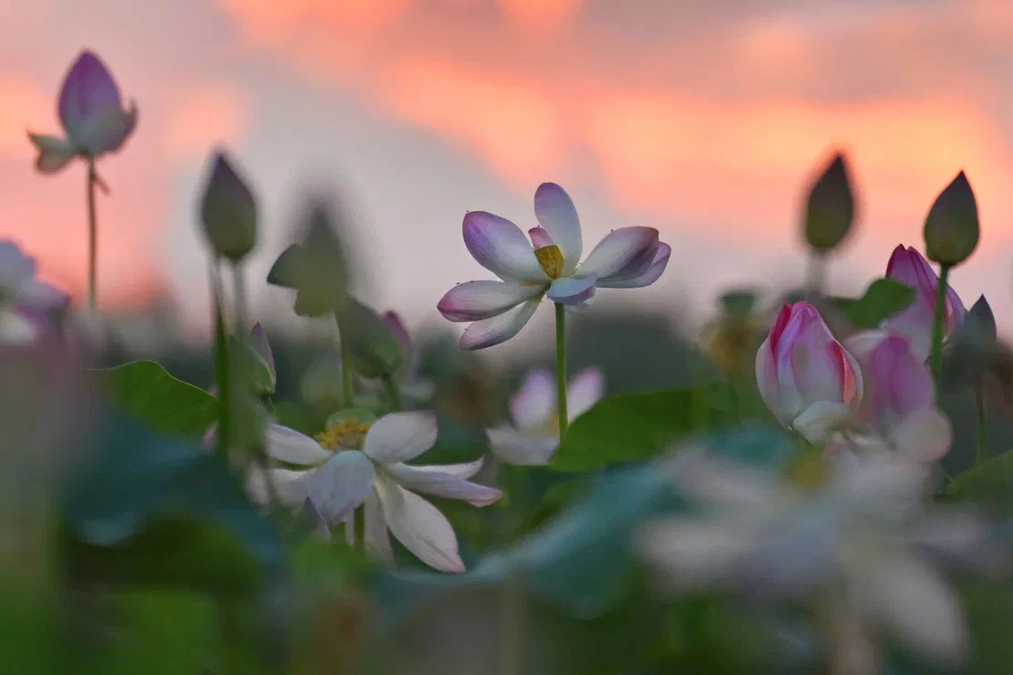 Изображение галереи