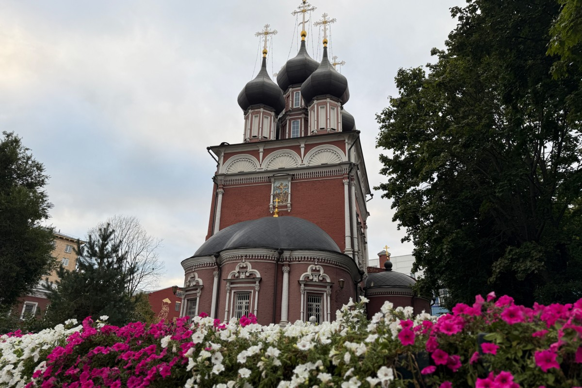 Изображение галереи