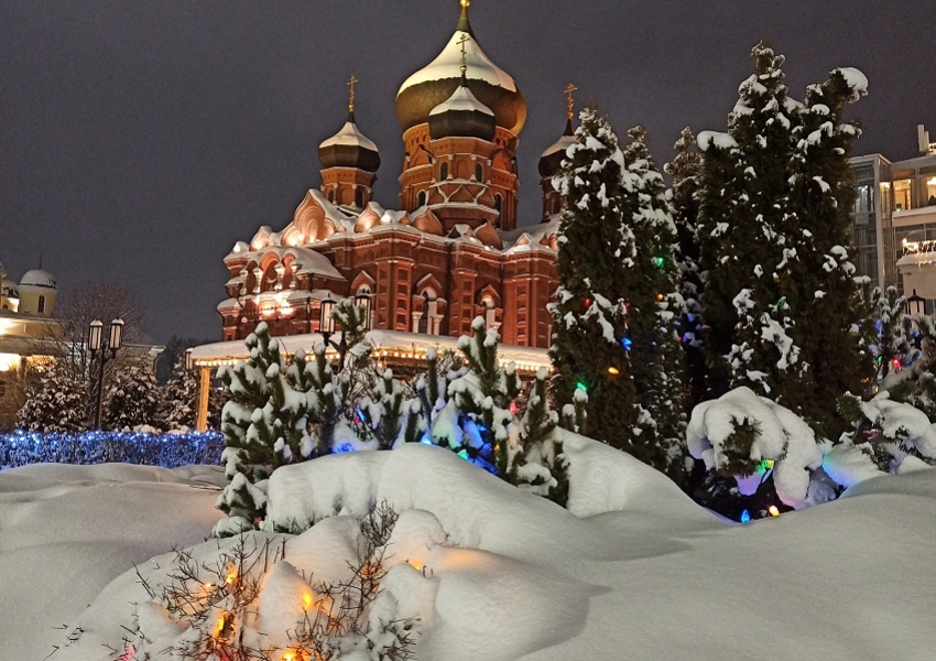 Венский вальс в Туле (2 дня)