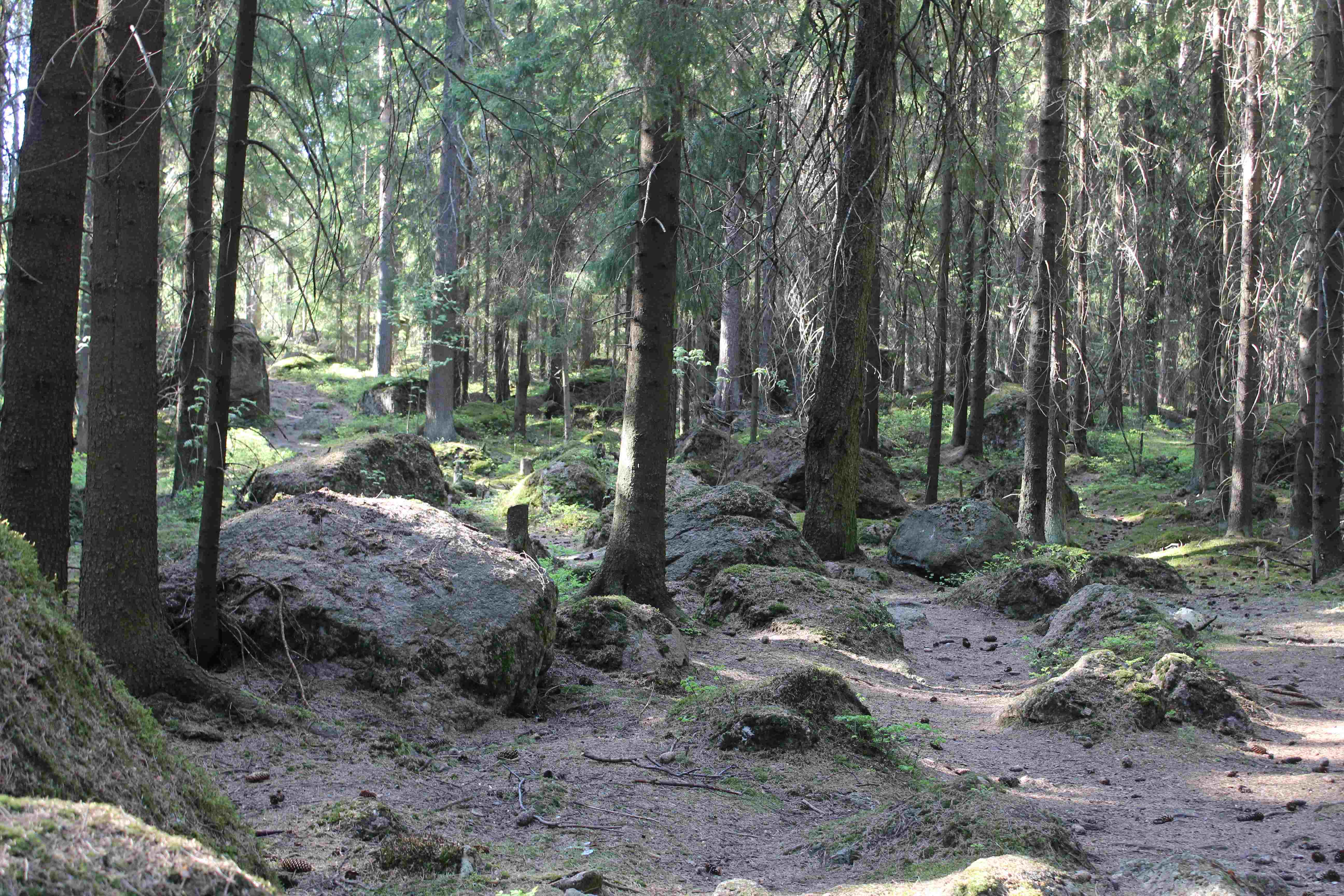 Петербург и 10 чудес Карелии(5 дней)