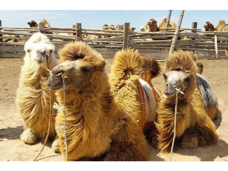 Изображение галереи