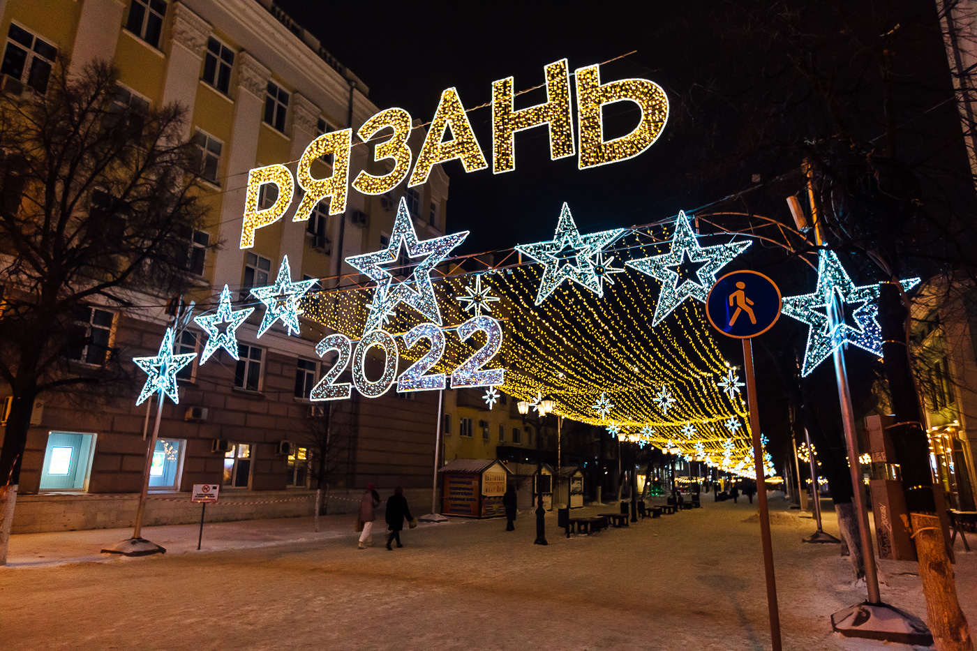 Магия Нового года  в Рязани! (3 дня)