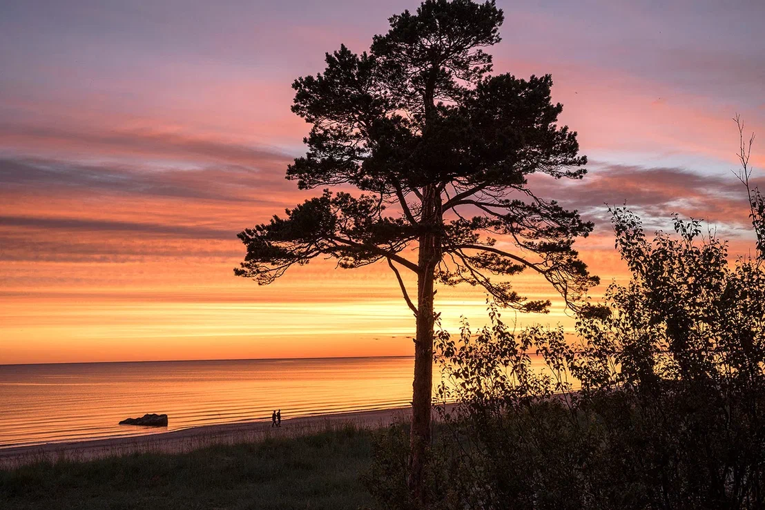 Изображение галереи