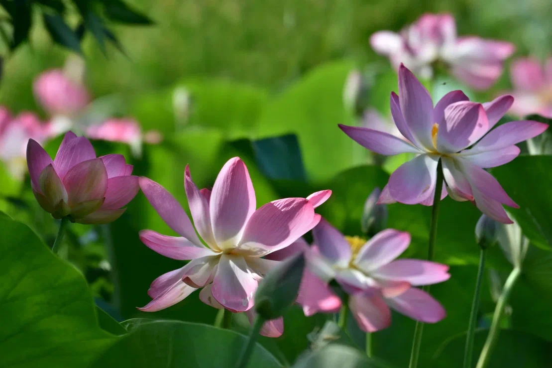 Изображение галереи