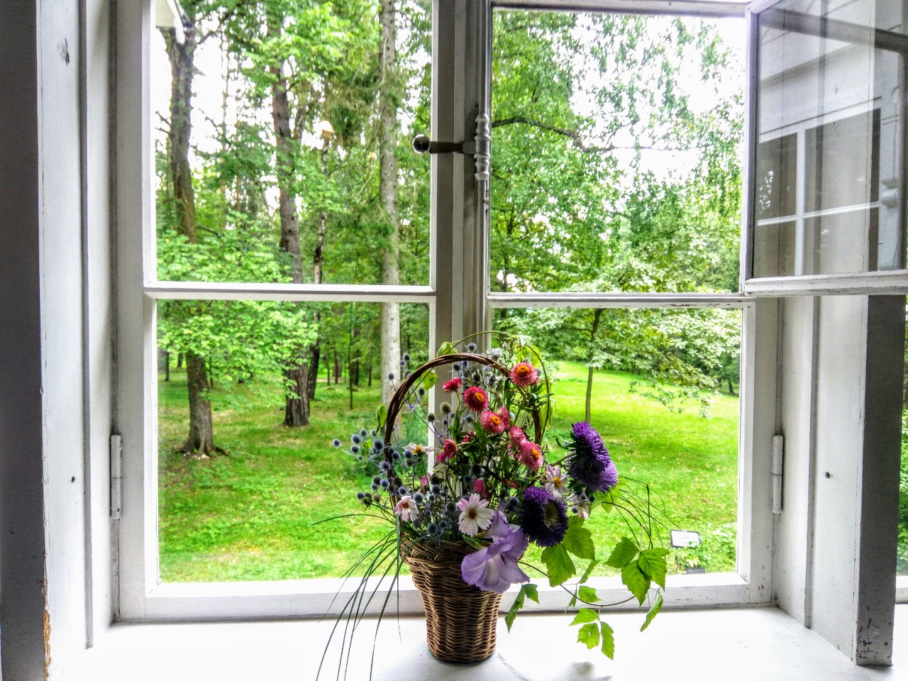 Отдых на Оке (6 дней)