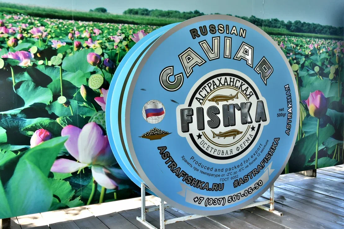 Красоты российского Каспия (3 дня)