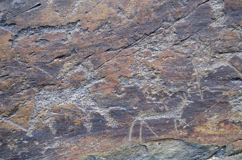 Алтайская сказка: снежное путешествие в Белокуриху и Лебединое озеро (3 дня)