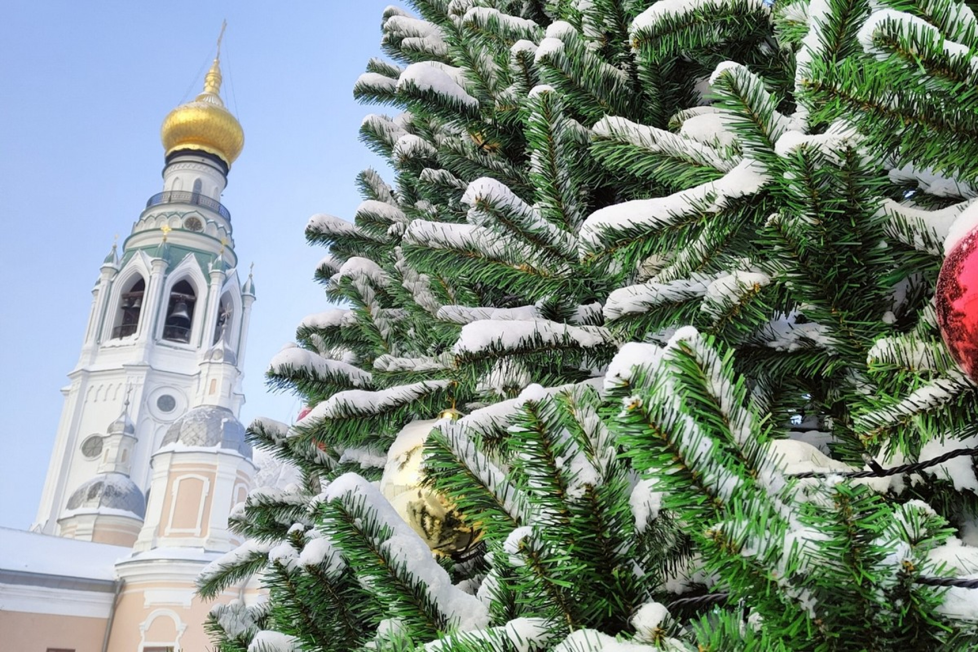 Новый год у вологодских викингов (3 дня)