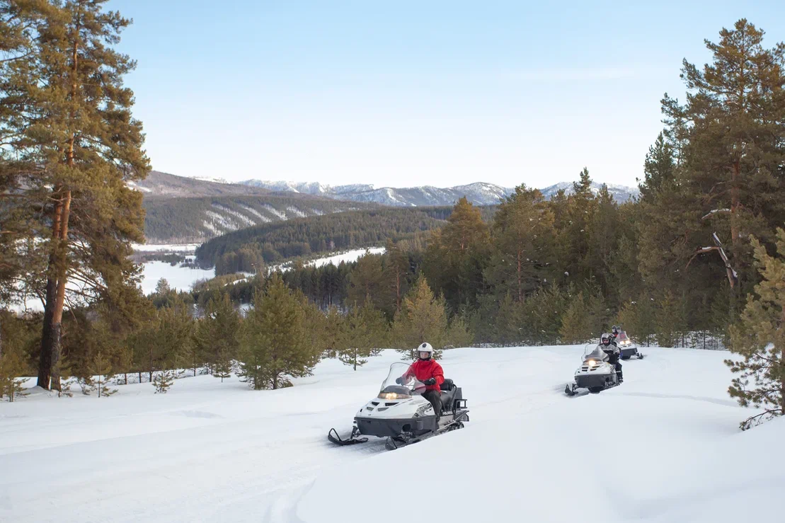Изображение галереи