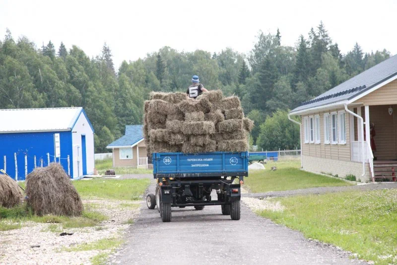 Изображение галереи