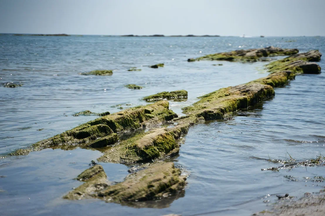 Изображение галереи