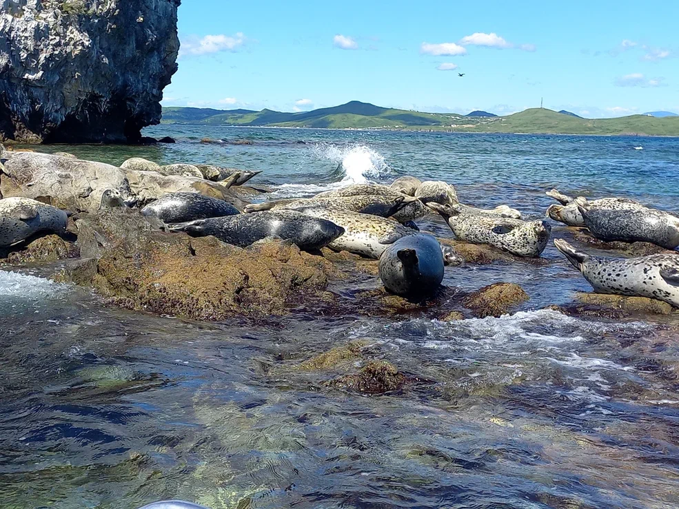 Путешествие во Владивосток с отдыхом на море ( 8 дней)