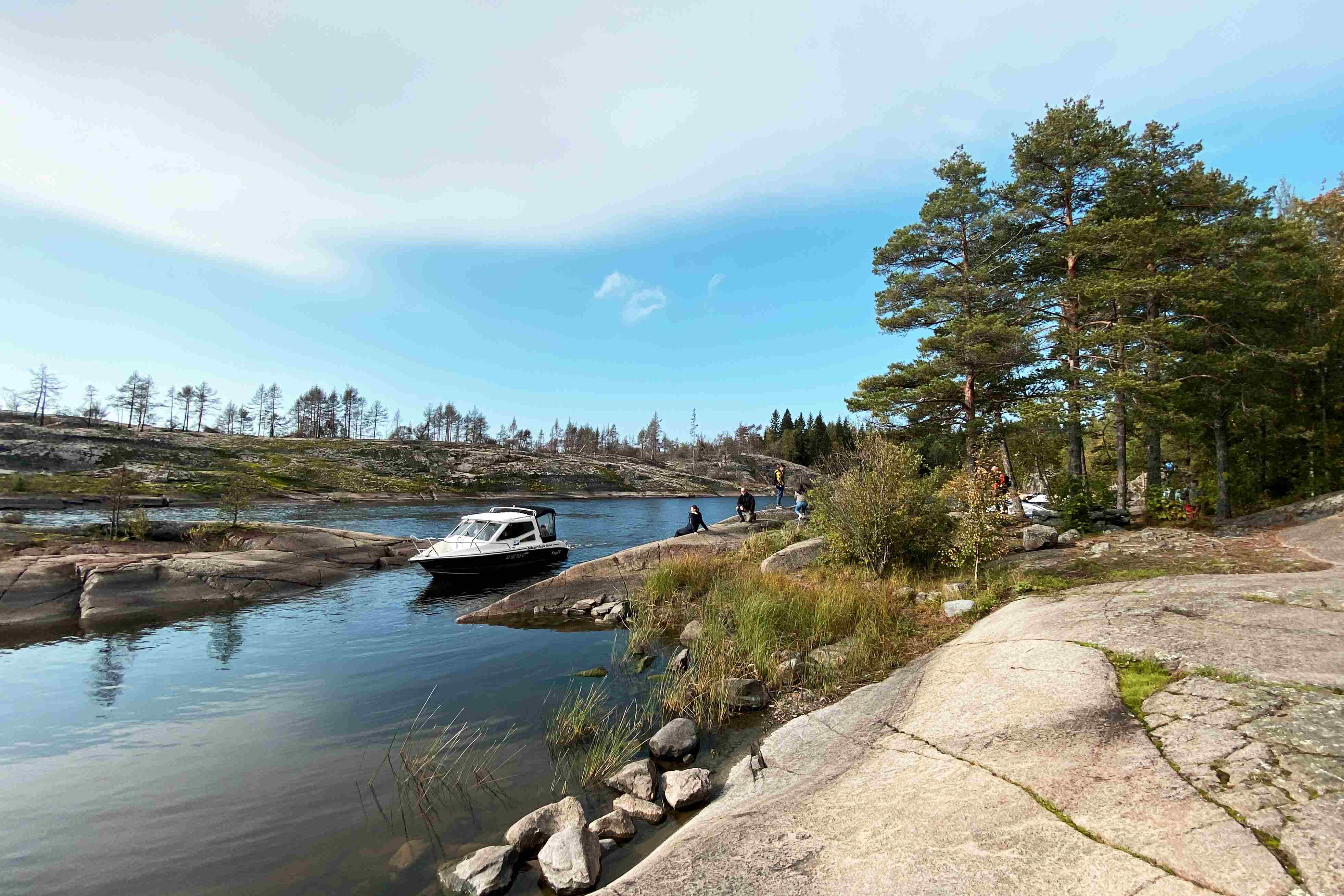 Изображение галереи