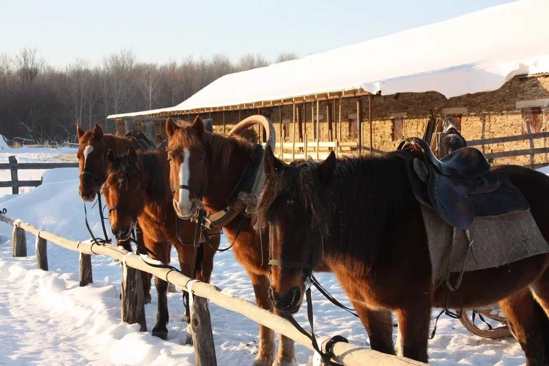 Изображение галереи