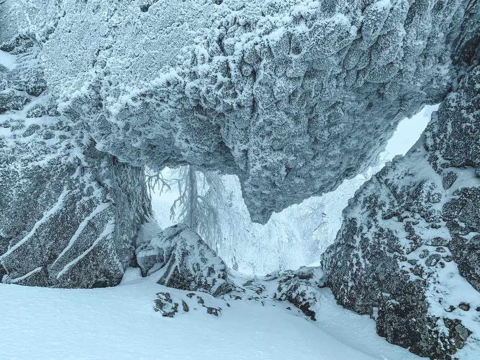 Изображение галереи