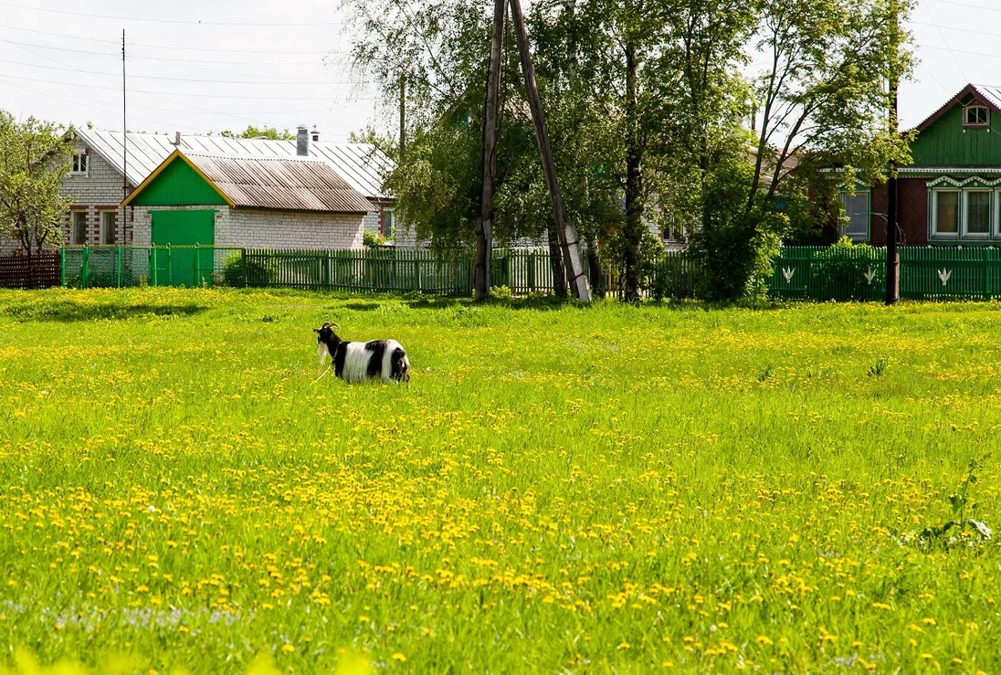 Изображение галереи