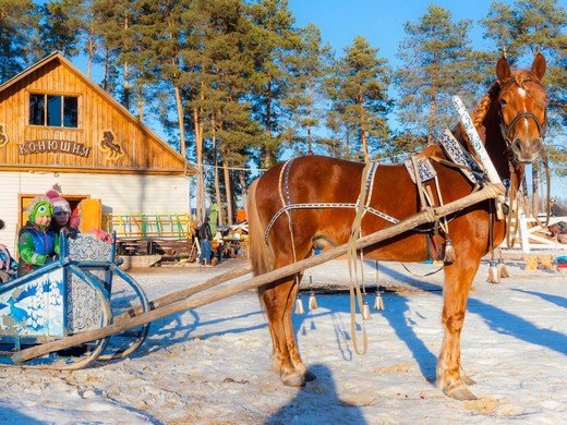 Новогодняя Тамбовщина (3 дня) автобус из Москвы
